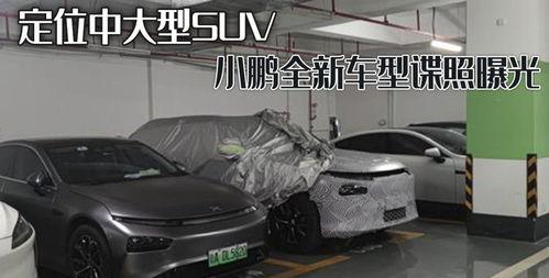 最新爆料车型大全视频,车型大全视频深度解析